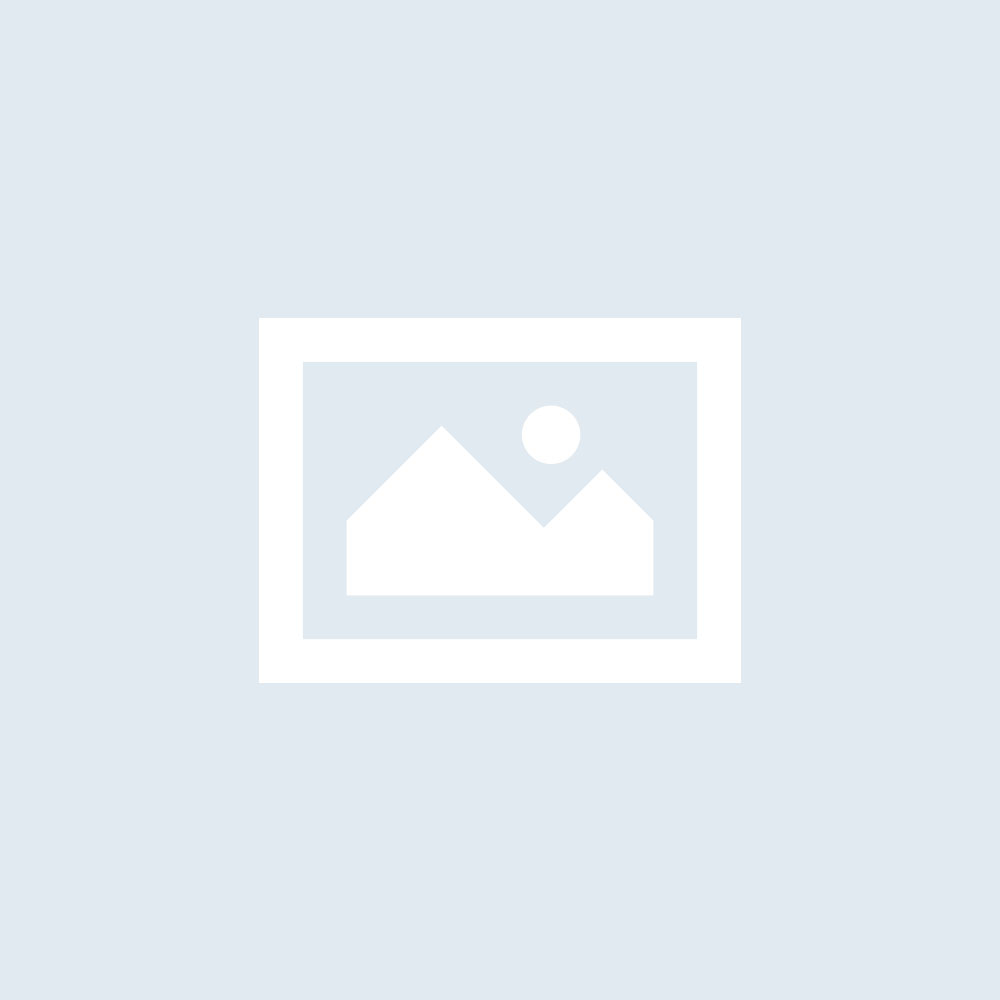 Lorel Ipsum