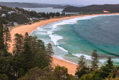 How To Spot A Humpback Whale Off The Coast Of Australia