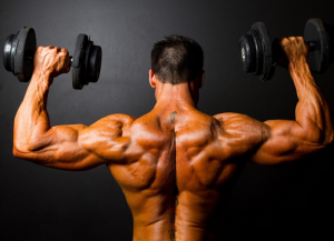Judging The Power Factors Of The Magical Supplement