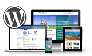 Custom WordPress Websites In Essex Replace The Hardcoded Websites