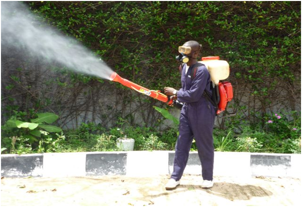 Controlling Pests Effectively With The Services Of Pest Controllers London