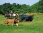 The Unique Safari Tour