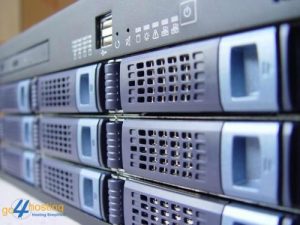 dedicated server hosting