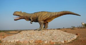 Indian Splendor Tour