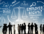 Employment Lawyer Miami