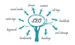 The Services Of Best SEO Company Adelaide