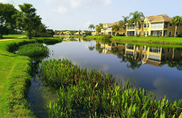 protection of wetlands