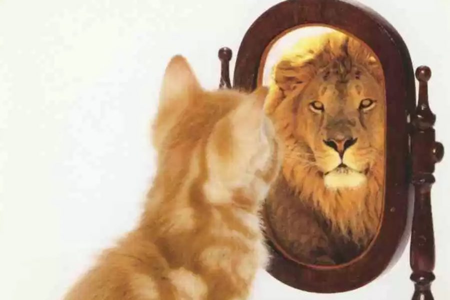 7 Ways To Increase Your Self-Esteem