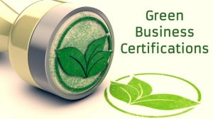 Apply For These 8 Green Certificate Programs To Give Your Business An Edge!