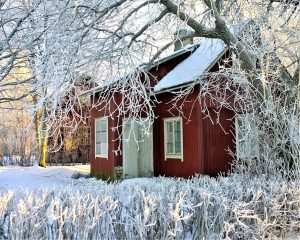 How To Make Sure Your Home Is Ready For Spring