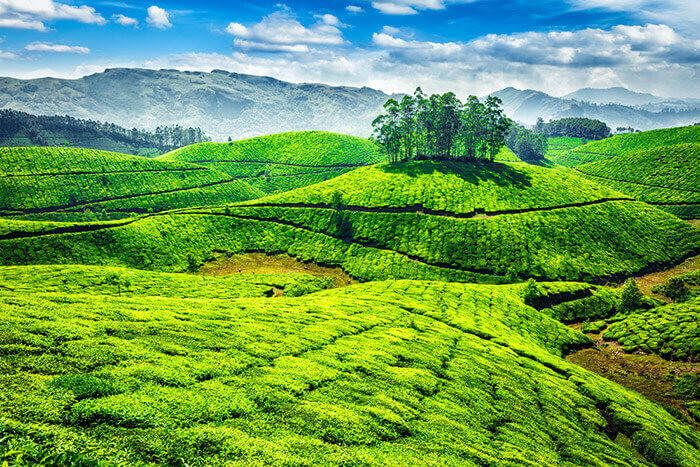 Munnar