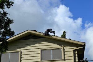 How Much a Metal Roof Replacement Cost