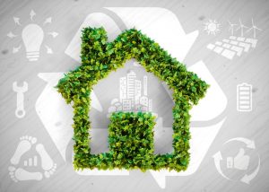 3 Steps to A More Eco-Friendly Home
